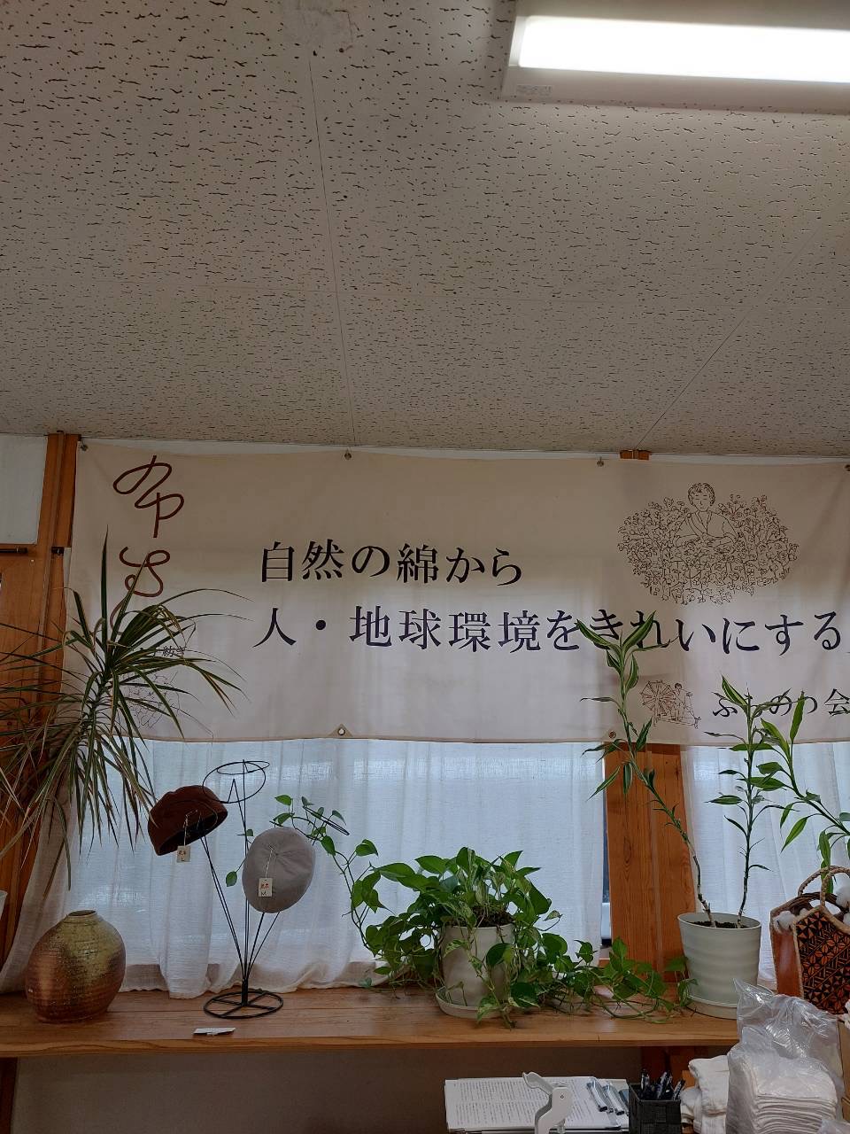 15202610141507310.jpg